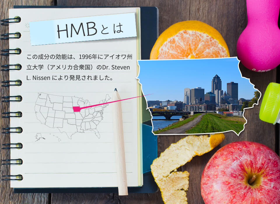 HMBとは