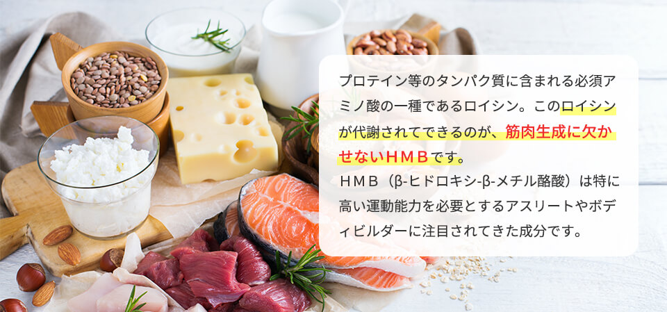 筋肉生成に欠かせないHMB