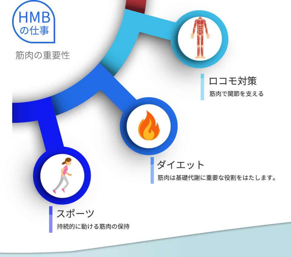 HMBの仕事