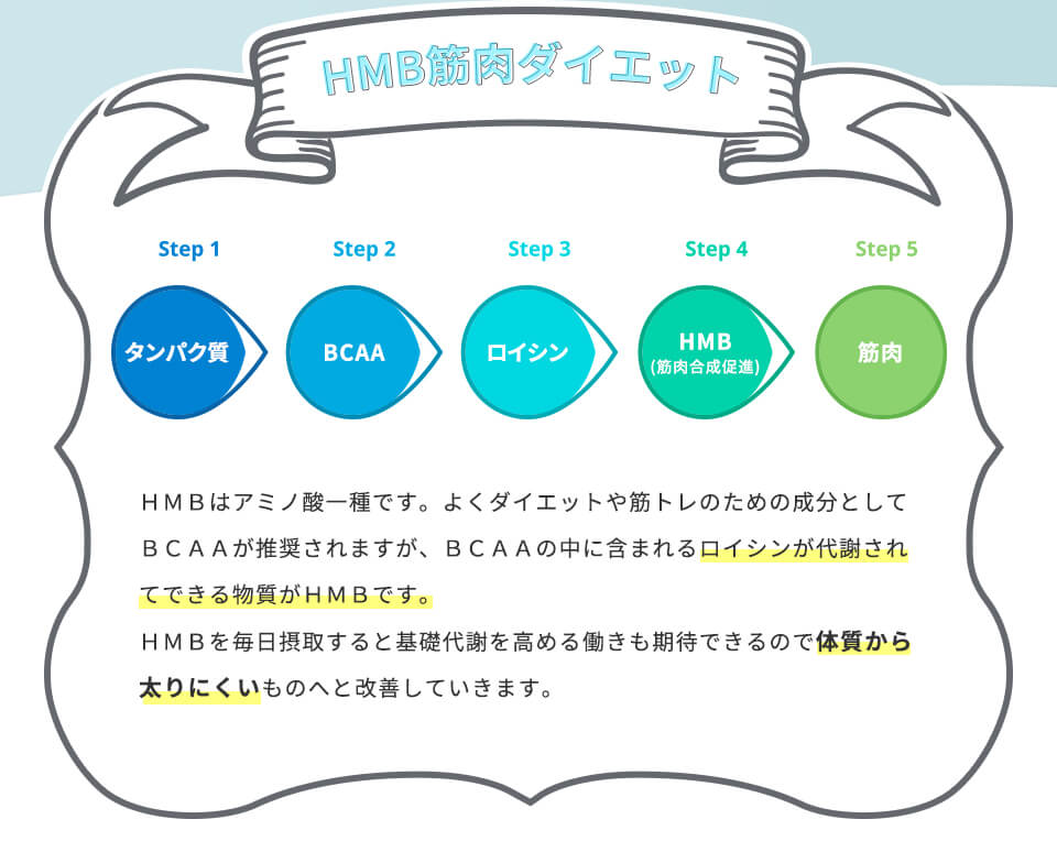 HMB筋肉ダイエット
