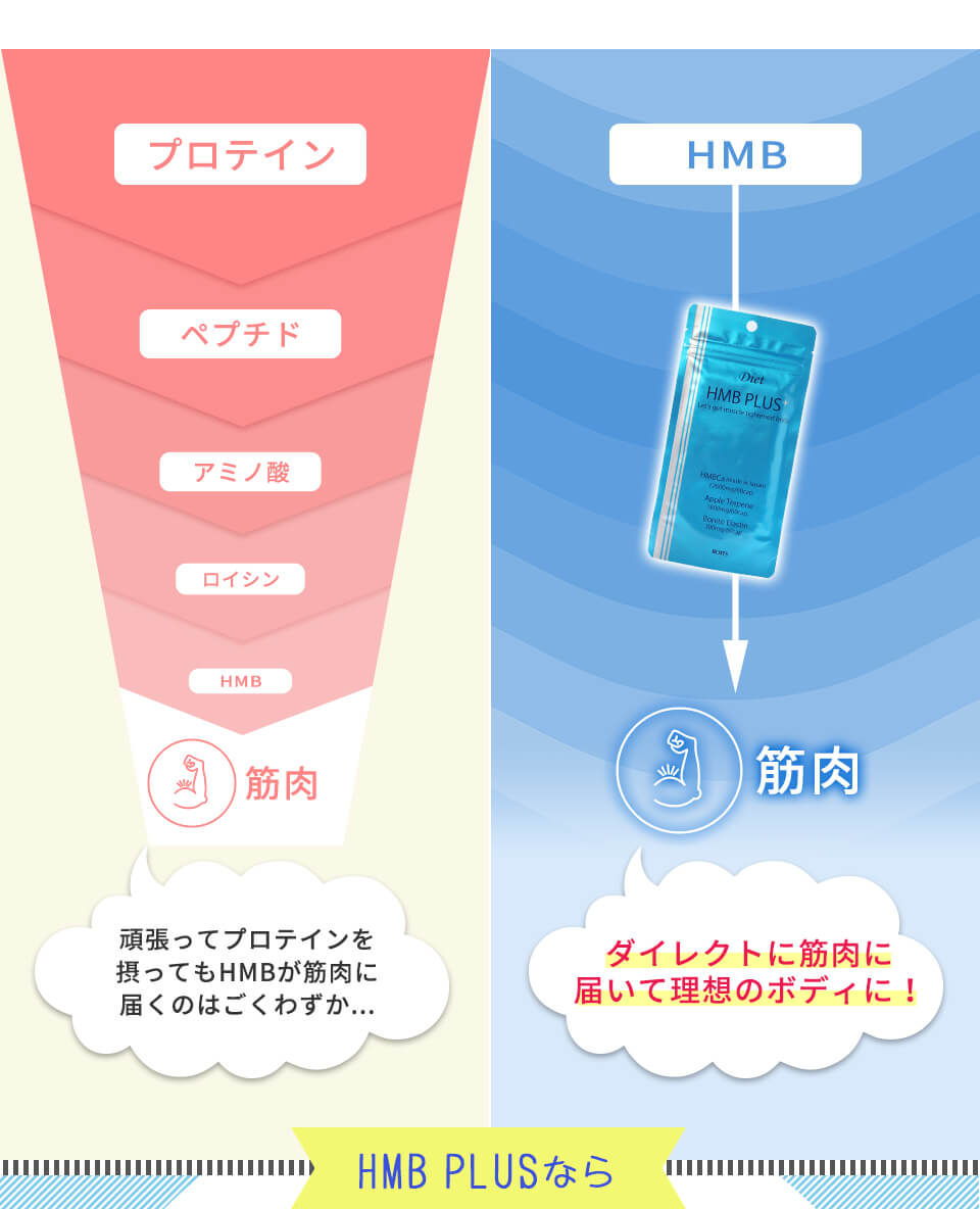 ダイレクトに筋肉に届いて理想のボディに
