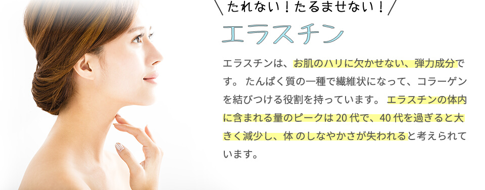 エラスチン